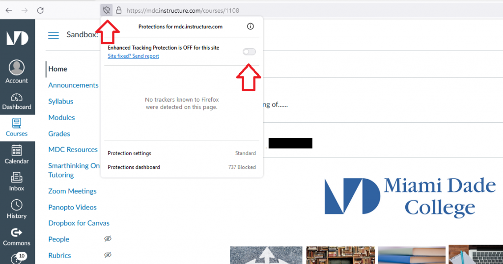 Using Firefox and Zoom Meetings
